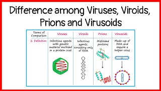 Difference among viruses viroids prions and virusoids  basicappliedmicrobiology [upl. by Esekram781]