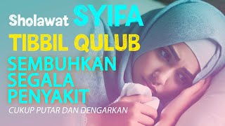 🔴SHOLAWAT PENYEMBUH SAKIT  SHOLAWAT SYIFA TIBBIL QULUB SHOLAWAT SYIFA MERDU [upl. by Langille1]