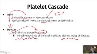 High Yield Heme Onc  USMLE Step 1 [upl. by Adnawyek]