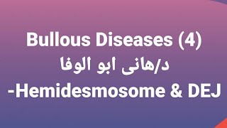 Dr Hany 🔹 Bullous Diseases 4 👉 Hemidesmosome amp Dermoepidermal junction [upl. by Viva]