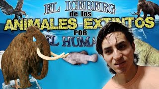 REACIONANDO a el ICEBERG de los ANIMALES EXTINTOS por el HUMANO [upl. by Pruchno981]