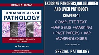 Liver Pathology Pathoma  Ch11  Exocrine Pancreas Gallbladder and Liver pathology lecture [upl. by Iborian]