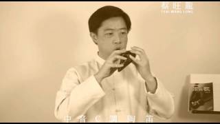 光陰的故事／羅大佑／Alto C Ocarina ／中音C調陶笛吹奏版 [upl. by Sammie]