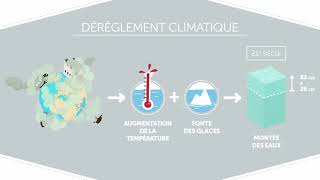 Comment meurent les océans   Décodactu [upl. by Olga]