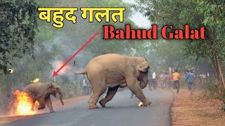 हतियों 🐘 के साथ बहुद गलत  Hatiyo🐘ke Sath Bahud Galat  😔 [upl. by Anippesuig]