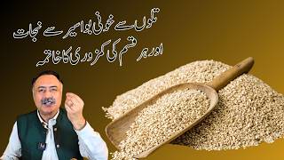 Sesame Seeds Massive Benefits  Til Ke Fayde  How to Use [upl. by Clay304]