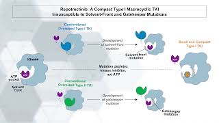 Macrocyclic TKIs in TreatmentNaïve and Pretreated FusionPositive NSCLC and Other Tumors [upl. by Ordnagela]