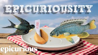 Epicuriousity Series Trailer  Artisanal Food Masters  Epicurious [upl. by Yllrebmik]