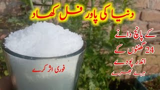 how to use urea fertilizer best method to use urea fertilizer uriya khad istemal Karne Ka Tarika [upl. by Nnaynaffit508]