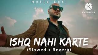 Ishq Nahi Karte Slowed Reverb Lofi B Praak Song [upl. by Letreece]