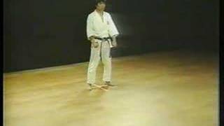 Heian Godan  Shotokan Karate [upl. by Assilem121]