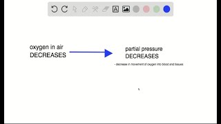 How can a decrease in the percent of oxygen in the air affect the movement of oxygen in the body [upl. by Niatirb]