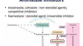 Gonadal Hormones Part 4 [upl. by Johna]