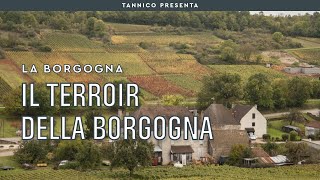 Il terroir della Borgogna e il segreto dei suoi grandi vini  Tannico Flying School [upl. by Ripley]