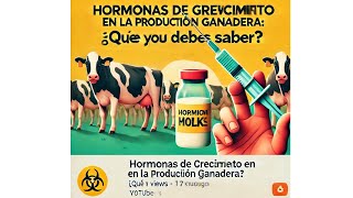 ¿Hormonas en tu comida Descubre la verdad sobre la producción ganadera [upl. by Ynnavoig325]