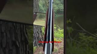 Shooting Red Wasp Nest With Shotgun gun firearms pestcontrol pest dukeboys woods shotgun [upl. by Aissatsan]