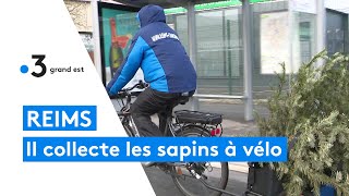 Reims  ce coursier ramasse les sapins de Noël à vélo [upl. by Hakeem]