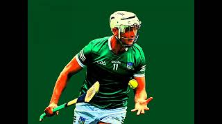 SHOCKING HURLER OF THE YEAR NOMINEE KYLE HAYES DUE BACK BEFORE THE COURTS AGAIN ON MONDAY LIMERICK [upl. by Morten]