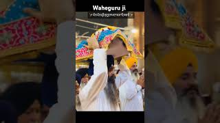 shortvideo dhanshrigurugranthsahibji dhandhanshrigururamdasji waheguruji wahegurushorts [upl. by Kitti222]