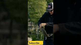 Umbrella Rig Lure fishing Catch 3 amp 4 shorts [upl. by Patricia972]