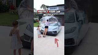 Want to Protect Your Car in the Most Stylish Way [upl. by Shurlock]