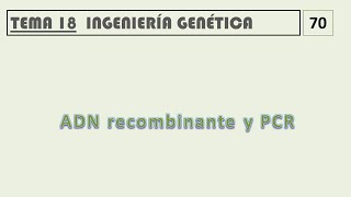 18 2 ADN RECOMBINANTE Y PCR [upl. by Aniraad]