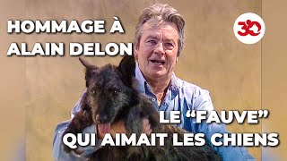 Notre hommage à Alain Delon [upl. by Senaj164]