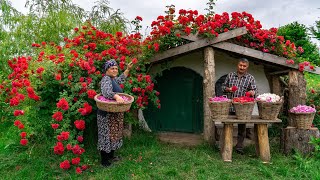 🌹 Traditional Rose Jam Homemade Recipe from Fresh Roses [upl. by Ainotahs]