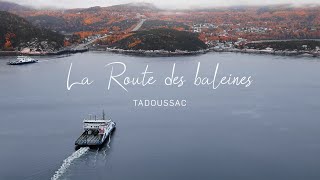 Route des baleines  Tadoussac [upl. by Norvan]