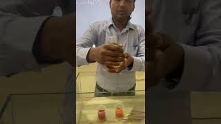 Chemistry ScienceExperiment EndothermicReaction CoolingEffect HydroxylamineHCl Thermodynamics [upl. by Ynabla497]