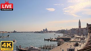 4K Live Webcam Venice  St Marks Basin in Live Streaming from Tribute to Music Venice [upl. by Elyl153]