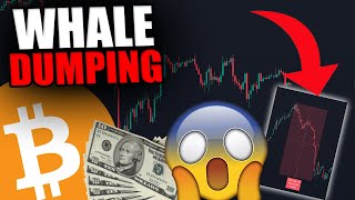 I JUST FOUND OUT WHICH WHALE IS DUMPING BITCOIN [upl. by Daahsar]