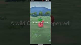 Playing Pokemon Go  11 November 2024  Part Three [upl. by Gwyn]