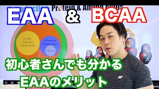 EAAとBCAAについて改めて解説！オススメのEAAサプリは？ [upl. by Attemaj]