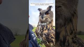 This kind woman rescued an injured owl that was lying helpless and then animalshorts [upl. by Natividad]