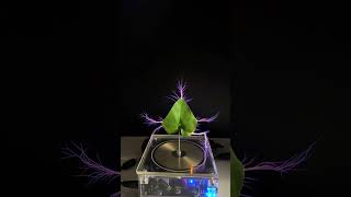 Tesla Coil Experiment teslacoil experiment lightning music shortvideo shorts viralvideo [upl. by Heise]