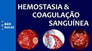 Hemostasia e Coagulação Sanguínea Atuação das Plaquetas e a Cascata de Coagulação [upl. by Haletta]