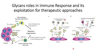 Cancer Glycans role in Immunosuppression and Therapeutic Approaches Code 467 [upl. by Agan]