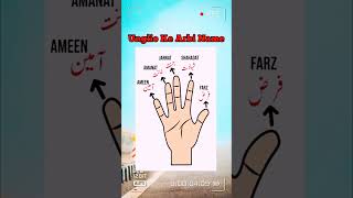 Unglio Ke Arbi Name trending shorts video islamic RashidIslamicShorts [upl. by Eisus]