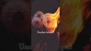 Ivlagam irunda pinbum songshots status lyrics tamilsong [upl. by Amliv782]