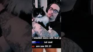 shorts gaming funny twitch kitty [upl. by Gregor]