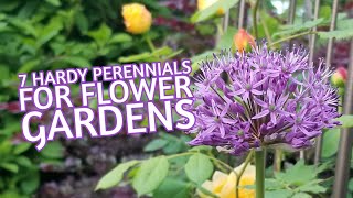 7 Hardy Perennials for Flower Gardens [upl. by Brott]