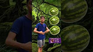 watermelon to dairy milkmahadevsnake lichi viralvideo trending viralshorts shorts [upl. by Gievlos]