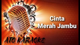 NIA LAVENIA  Cinta Merah Jambu  karaoke [upl. by Eeniffar584]