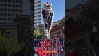 Leung’s White Crane High Pole Jong Lion Dance Performance  2024 SF Chinatown Lion Dance Festival [upl. by Ariadne565]