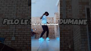 Felo le tee ft Madumane x Kabza Da Small x Mpura Ngwana Mani 🥵feloletee amapiano djmaphorisa [upl. by Ciapha]