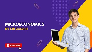 Main sector of microeconomics goods and moneyurdu hindi lecture microeconomics [upl. by Lathe395]