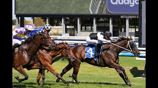 Caulfield  2024 Easter Cup Day Tips PLENTY OF VALUE ON THIS CARD 6424 [upl. by Aurel]