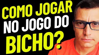 Como Jogar no Jogo do Bicho Tipos de apostas e quanto Você Ganha [upl. by Nyasuh]