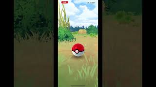 catching a Sandshrew in Pokemon Go [upl. by Tiras]